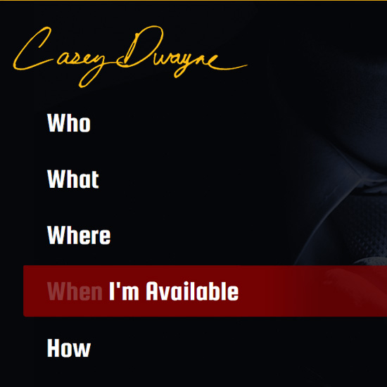 Website thumbnail of caseydwayne.com landing page site design