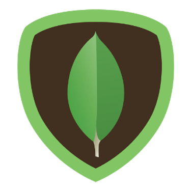 MongoDB ORM non-relational database